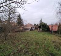 Ein Garten bei einem Einfamilienhaus in Dolný Pial mit Rasen und Obstbäumen.