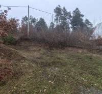 Grashang bei der Hütte in der Hauptstraße im Dorf Nová Kelča, umgeben von Bäumen.