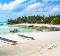 Strand mit Booten und Palmen in Kizimkazi, ideal für Gewerbegrundstücke.