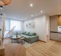 Wohnzimmer in einer 2-Zimmer-Wohnung mit Sofa, Möbeln und Bodenbelag in Holzoptik.