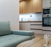 Wohnbereich einer 2-Zimmer-Wohnung mit Sofa und Küchenzeile in Holzoptik.