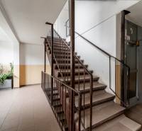 Flur mit Treppe, Pflanzen und Aufzug in einem Wohnhaus, Tokajícka, Košice - Stadtteil Dargovských hrdinov.