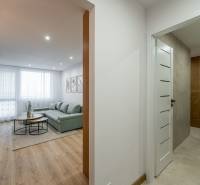 Innenraum einer 2-Zimmer-Wohnung mit Holzboden und einem bequemen grauen Sofa.