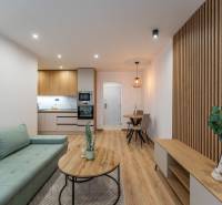 Wohnzimmer mit Holzboden in einer Zweizimmerwohnung mit grünem Sofa.