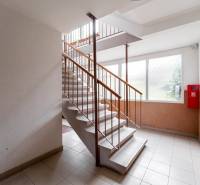 Mehrfamilienhaus mit Treppenhaus und Fenstern, vor einer 3-Zimmer-Wohnung in der Michalovská-Straße.