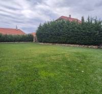 Ein Einfamilienhaus in Studienka mit Garten, gepflegtem Rasen und hohem lebenden Zaun.