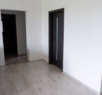 Innenraum eines Einfamilienhauses mit Sofa, Holzboden und dunklen Türen.