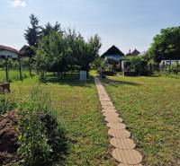 Garten bei einem Einfamilienhaus in Dlhá nad Váhom mit grünem Rasen und Gehweg.