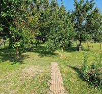 Ein Garten im Einfamilienhaus in Dlhá nad Váhom mit Obstbäumen und Rasen.