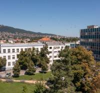 Nitra 3-Zimmer-Wohnung Kaufen reality Nitra