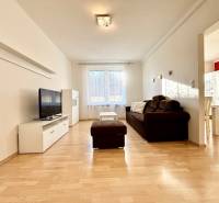 Wohnzimmer in einer 2-Zimmer-Wohnung mit Sofa, Fernseher und Holzboden.