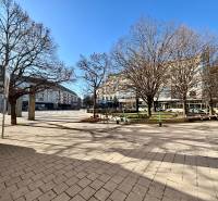 Städtische Szenerie vom Dulovo námestie in Bratislava - Nivy, die die Umgebung und das Grün einfängt.