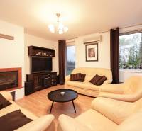 Wohnzimmer in einem Einfamilienhaus mit Kamin, Ledersofas und einem Boden in Holzoptik.