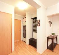 Innenraum eines Einfamilienhauses mit Holzboden, bunten Schränken und einem Blumentopf.