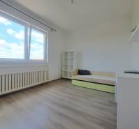 Ein heller Raum mit Regalen, einem ausziehbaren Bett und einem Fenster in einem Einfamilienhaus, Boden mit Holzdekor.