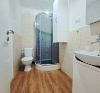 Badezimmer in einem Einfamilienhaus mit Toilette, Duschkabine und Bodenbelag in Holzoptik.