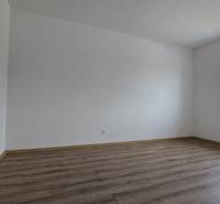 Ein Zimmer in einem Einfamilienhaus mit einem Boden in Holzoptik und einem großen Fenster.