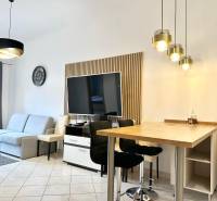 Wohnzimmer einer Ferienwohnung mit Fernseher, Sofa und Bartheke.