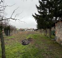 Garten bei einem Einfamilienhaus mit Zaun und Bäumen in Čechynce.