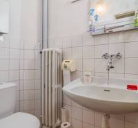Badezimmer in einem Einfamilienhaus mit Waschbecken, Toilette und Badezimmerzubehör.