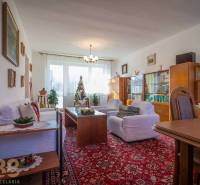 Wohnzimmer eines Einfamilienhauses mit Möbeln, Weihnachtsbaum und rotem Teppich.