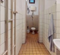 Ein schmales Badezimmer mit Toilette, Waschbecken und Fliesen in Geschäftsräumen.