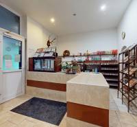 Innenräume von Geschäftsräumen mit Theke, Regalen und Pflanzen auf dem Boden.