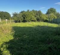 Ein Garten bei einem Einfamilienhaus in Diakovce mit üppigem Gras und grünen Sträuchern.