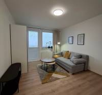 Einzimmerwohnung mit Sofa, Couchtisch und Boden in Holzoptik.