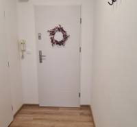 Einzimmerwohnung mit weißen Wänden, Holzboden und Wandgarderobe.