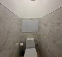 Toilette in einem Einzimmerapartment mit einem Boden in Holzoptik und Fliesen, die Marmor imitieren.