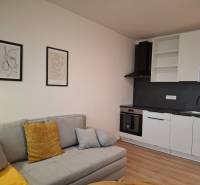 Einzimmerwohnung mit Sofa, Küche und Holzboden.