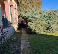 Ein Einfamilienhaus in Tomášovce mit einem Vorgarten und einem großen Baum am Gehweg.