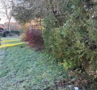 Der Garten des Einfamilienhauses in Tomášovce mit dichter Vegetation und Rasenfläche.