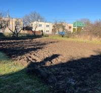 Ein Obstgarten in Tomášovce bei Einfamilienhäusern an einem klaren Tag.