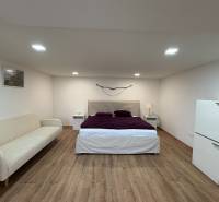 Innenraum einer Einzimmerwohnung mit Bett, Sofa und Holzboden.