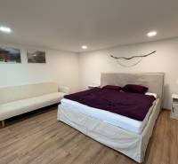 Schlafzimmer in einer Einzimmerwohnung mit Sofa, Bett und Holzboden.