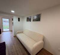 Innenraum einer 1-Zimmer-Wohnung mit Sofa und Boden in Holzoptik.