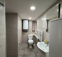 Badezimmer in einer Einzimmerwohnung mit Duschkabine, Waschbecken und WC, Fliesen an den Wänden.