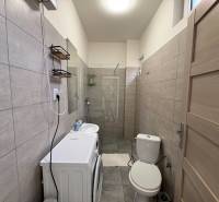 Badezimmer in einer Einzimmerwohnung mit Waschmaschine, Waschbecken und Duschkabine in neutralen Farbtönen.