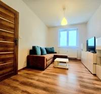 Wohnzimmer in einer Zweizimmerwohnung mit einem Sofa und einem Boden in Holzoptik.