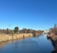 Ein Fluss umgeben von Schilf in den Gärten der Neuen Siedlung in Komárno unter blauem Himmel.