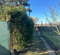 Gärten in der Neusiedlung Komárno, Zaun mit grünen Nadelbäumen und ein Steinweg.