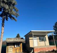 Gärten in der Neusiedlung in Komárno mit kleinen Gebäuden und einem Nadelbaum.