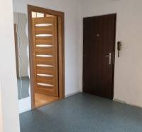 Eingangsflur in einer 3-Zimmer-Wohnung mit Holztürdekor und Spiegel.