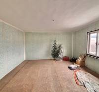 Ein Zimmer in einem Einfamilienhaus mit blauen Tapeten, einem Baum, einem Fenster und gelagerten Gegenständen.