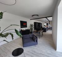 Wohnzimmer in einem Einfamilienhaus mit Holzboden, grauen Möbeln und einer Pflanze.