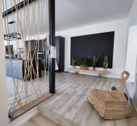 Innenraum eines Einfamilienhauses mit Holzboden, Pflanzen und Seildekoration.