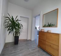 Flur mit Holzboden, Spiegel und Pflanze in einem Einfamilienhaus.