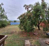 Ein Einfamilienhaus in Zacharovce mit Obstbäumen im Garten und einem Holzzaun.